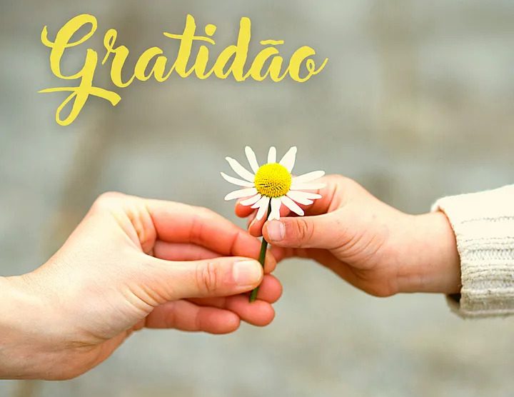 The Gratitude Transformation
