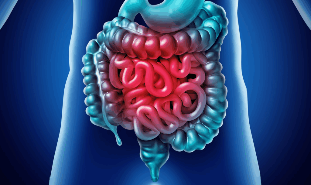 Gut Health and Vitality