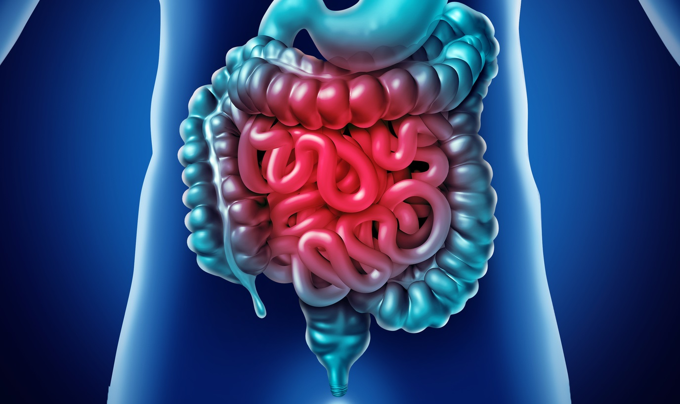 Gut Health and Vitality