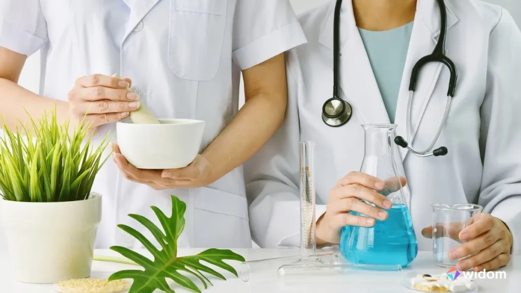 Herbal Medicine for Preventive Health