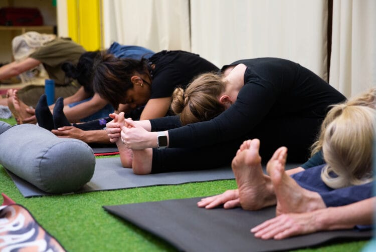 Yoga Therapy: Healing Pain & Anxiety