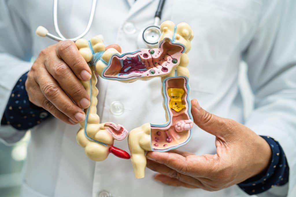 Optimize Your Microbiome Health